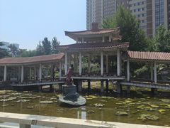 -沈阳南湖公园