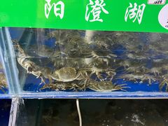 -阳澄湖大闸蟹·琼灵阁牌品牌连锁(吴中总店)
