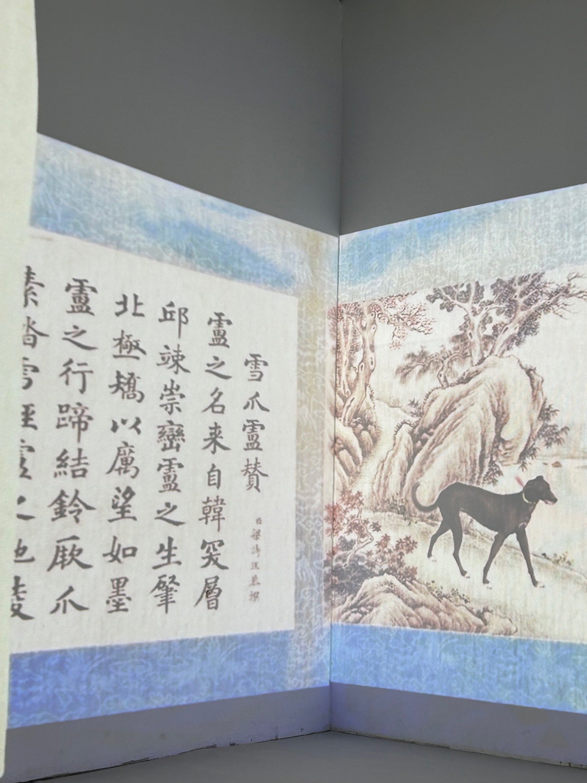 行走的故宫,石渠宝笈