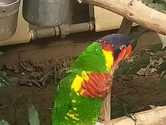 -南宫五洲植物乐园