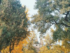 -北京石刻艺术博物馆(五塔寺)
