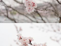 -琅琊山景区