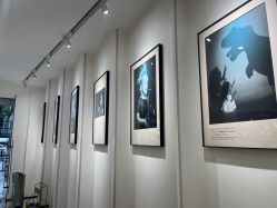 -玛瑞莎·儿童·亲子摄影(越秀店)