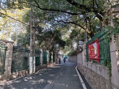 -洪山区南望山小学