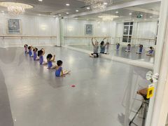 -芭蕾仙子 FairyBallet 少儿芭蕾舞蹈中心(丽都旗舰店)