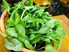 豌豆尖-泸州酸菜豆花火锅川师店