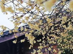 -钱王祠