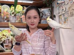 -吉丁鸟咖·异宠·寄养