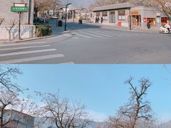 -香山公园
