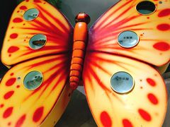 -上海昆虫博物馆