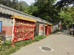-阳台山自然风景区