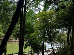 -玉苍山国家森林公园