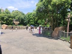 -迪士尼小镇