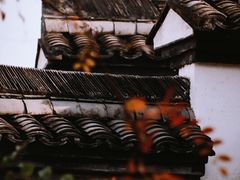 -东梓关景区村庄