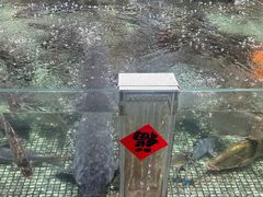 -传统菜农庄(皇姑路店)