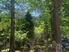 -大连理工大学(凌水校区)
