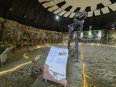 -二连浩特国家地质公园