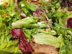 -Tubestation站点比萨(高新万达ONE店)