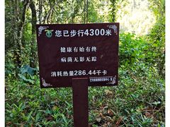 -孔雀湖生态旅游区