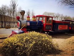 -永定河休闲森林公园