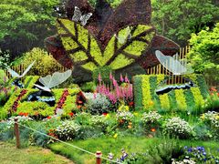 -上海共青森林公园