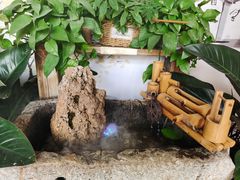 -蘇河湾·新鲁菜·泰山宴(宝龙店)