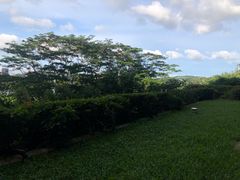 -深圳隐秀山居酒店