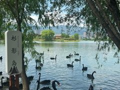 -长兴太湖图影湿地文化园