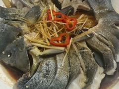 -煲来饱去冷水鱼
