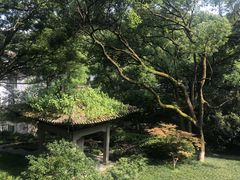 -杭州花家山庄