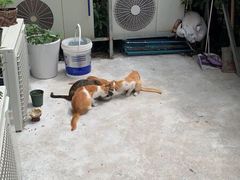 -博纳私人订制健身(中集美兰湖店)