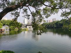 -荔湾湖公园