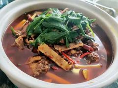 泉水土烧鸡-先机泉水鸡汤(南山老君洞店)