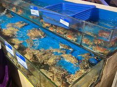 -鹰龙海畔度假酒店(咸祥店)