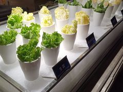 -海天盛宴海鲜自助(正大广场店)
