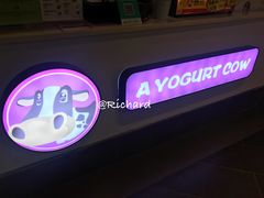 -一只酸奶牛(海南友谊阳光城店)