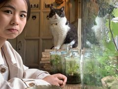 -海边的猫和咖啡馆