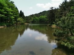 -四明山国家森林公园