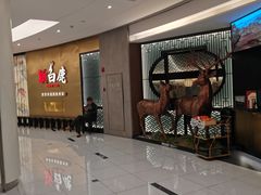 -新白鹿餐厅(虹桥南丰城店)
