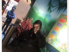 -昆明大悦城未来动物城(螺蛳湾中心店)