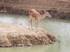 -泗洪洪泽湖湿地景区