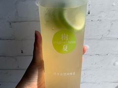 生榨柠檬霸-树夏(鹭洲里店)