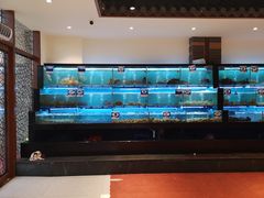 水产区-南海渔家•海鲜•正宗海南菜(海棠湾店)
