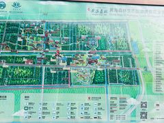 -黄海国家森林公园