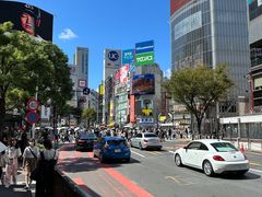 -涩谷区