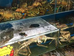 水产区-蚝专家(北滘店)