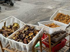 -草墩罗非鱼庄•野生菌•腊排骨(七星街上段店)