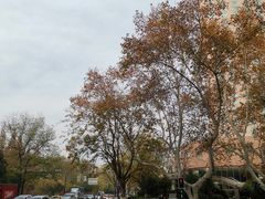 -南京维景国际大酒店(南京博物院店)