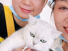 -怪兽屋·羊驼·猫咖·狗咖(俊华广场店)