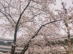 -上海南浦大桥长途旅游客运站